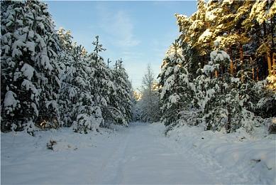 移植NS再添佐证！《星空》Switch2版零售商页面曝光